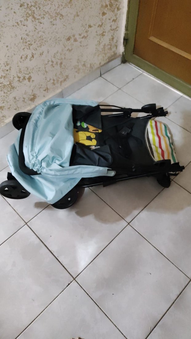 Pastel Mavi Bebek Arabası - Görsel 3