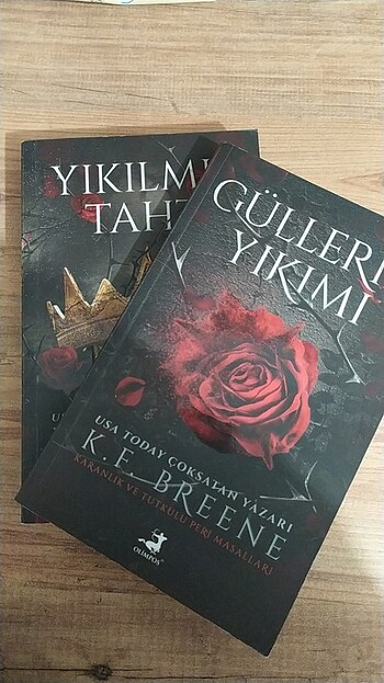 Güllerin yıkımı yıkılmış taht 2 kitap seri K.F. Breene