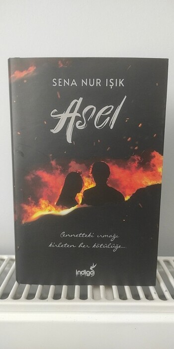 Asel Sena Nur Işık 