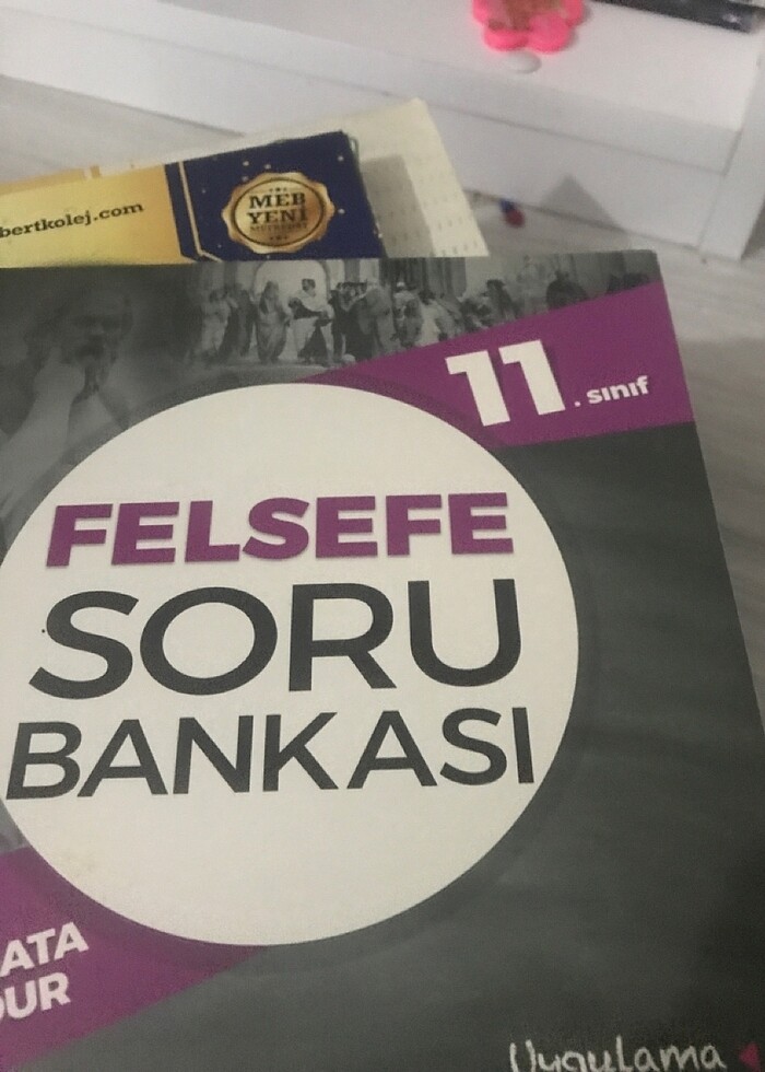 felsefe 11.sınıf - Görsel 3
