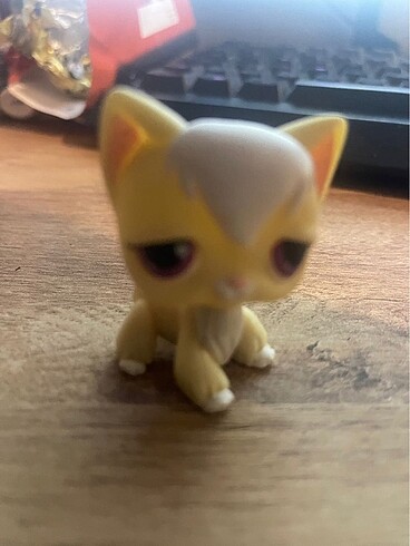  Miniş