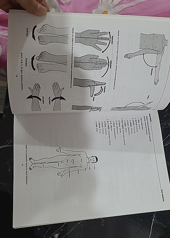  Beden İnsan Anatomisi Kitabı - Akademi
