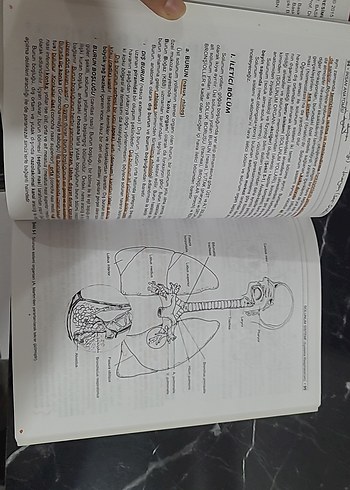 Beden Resimli İnsan Anatomisi - Prof. Dr. Mehmet Yıldırım