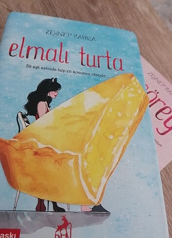  Elmalı Turta Ayçöreği