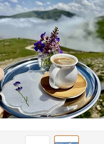 Diğer Sunum tepsisi