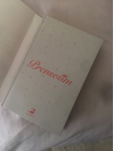 prensesim kitap - Görsel 5