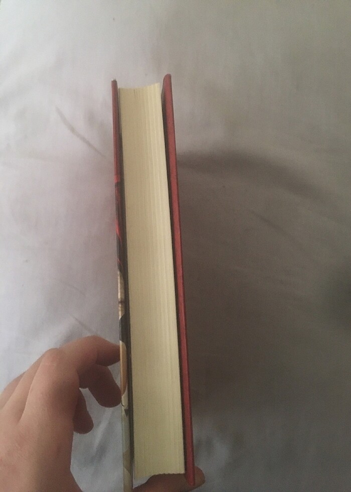 prensesim kitap - Görsel 2