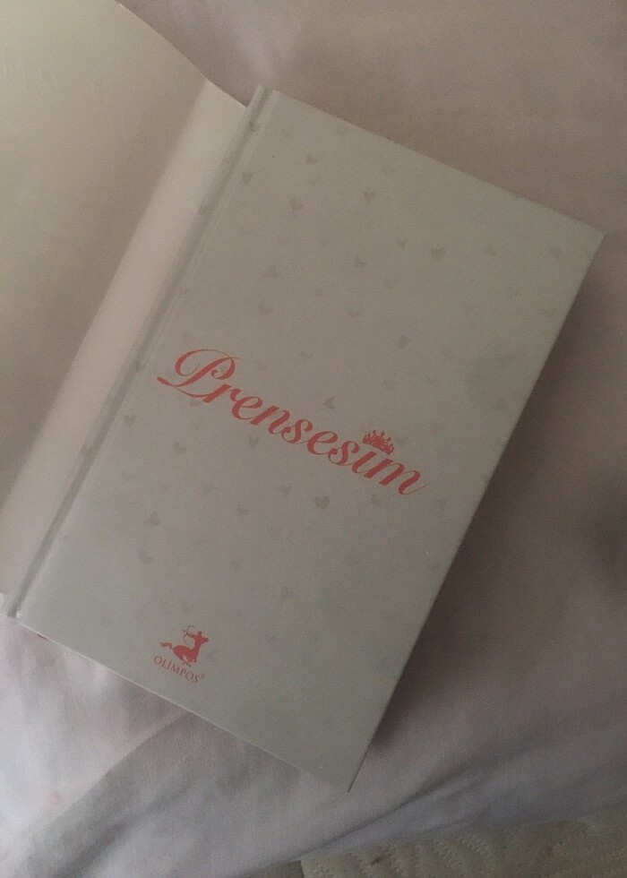 prensesim kitap - Görsel 5