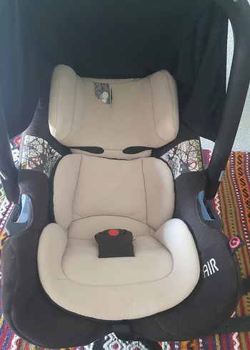 Concord Siyah Bebek Puseti concord
