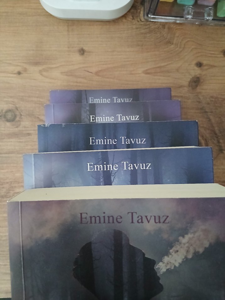 Çürük Vişne Roman Serisi - 5 Kitap - Görsel 5