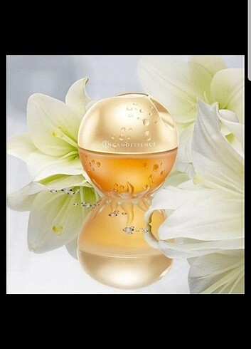 İncandessence Edp 50ml. 