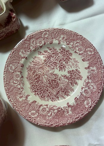 Bordo Pastel Desenli Porselen Fincan ve Tabak Seti trio - Görsel 5