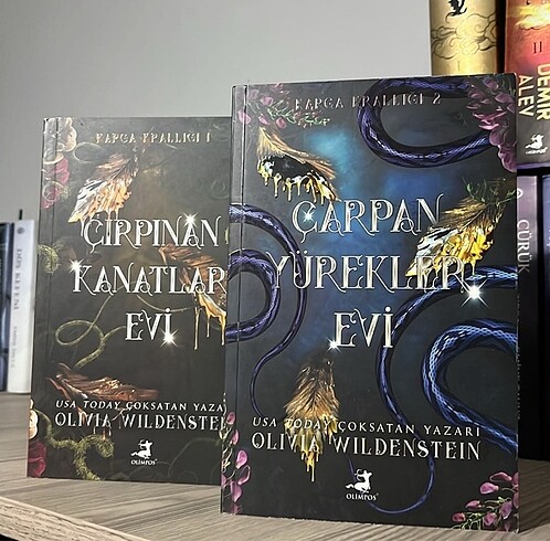 Çırpınan kanatlar evi