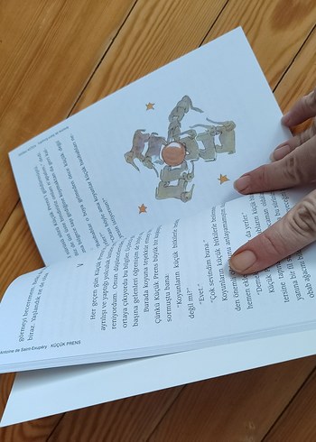 Küçük Prens - Antoine de Saint-Exupéry - Görsel 3
