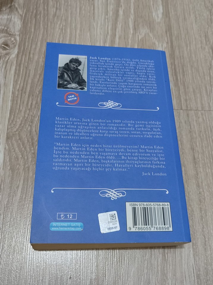Martin Eden - Jack London Romanı - Görsel 2