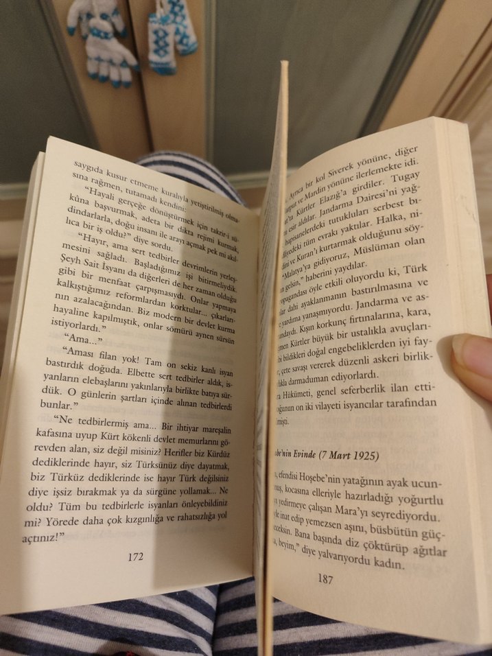 Ayşe Kulin - Köprü Romanı - Görsel 3