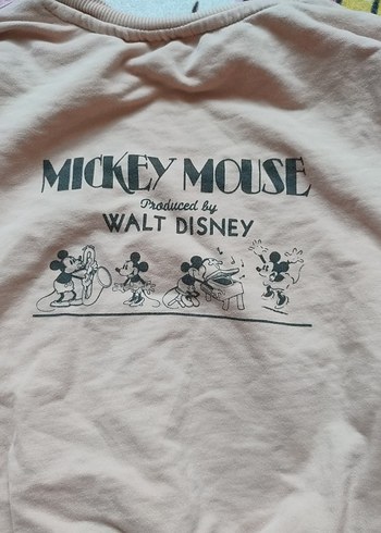 7 Yaş Beden ten rengi Renk Bej kız cocuk Uzun Kollu Baskılı Sweatshirt