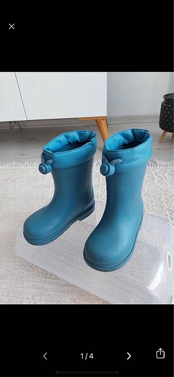 İgor bot