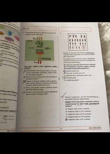 Beden Renk Biyoloji AYT 20x13 Deneme Kitabı