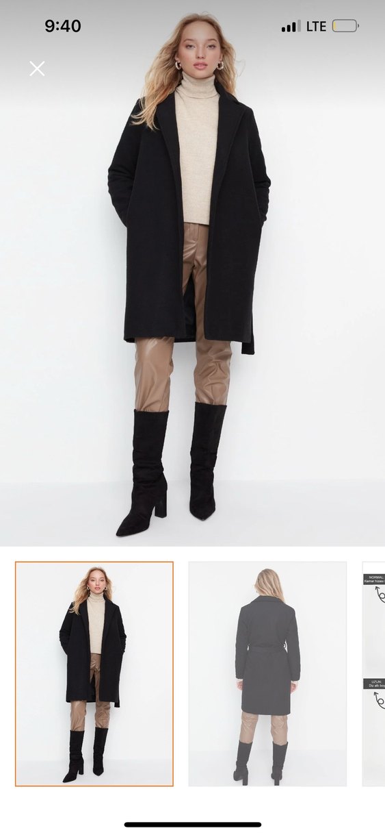 Siyah Kuşaklı Kaban - Görsel 2