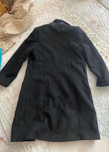 Diğer Siyah kaban