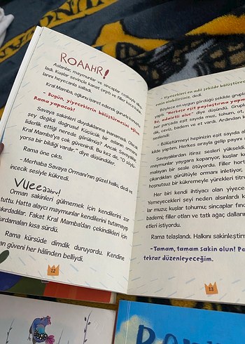 Çocuklar için Dört Renkli Kitap Seti - Görsel 5