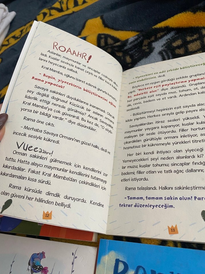 Çocuklar için Dört Renkli Kitap Seti - Görsel 5