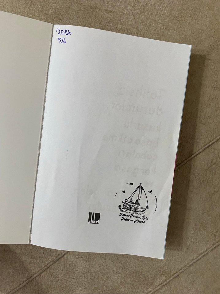 Bir Buçuk Abartı - Allie Brosh - Görsel 2