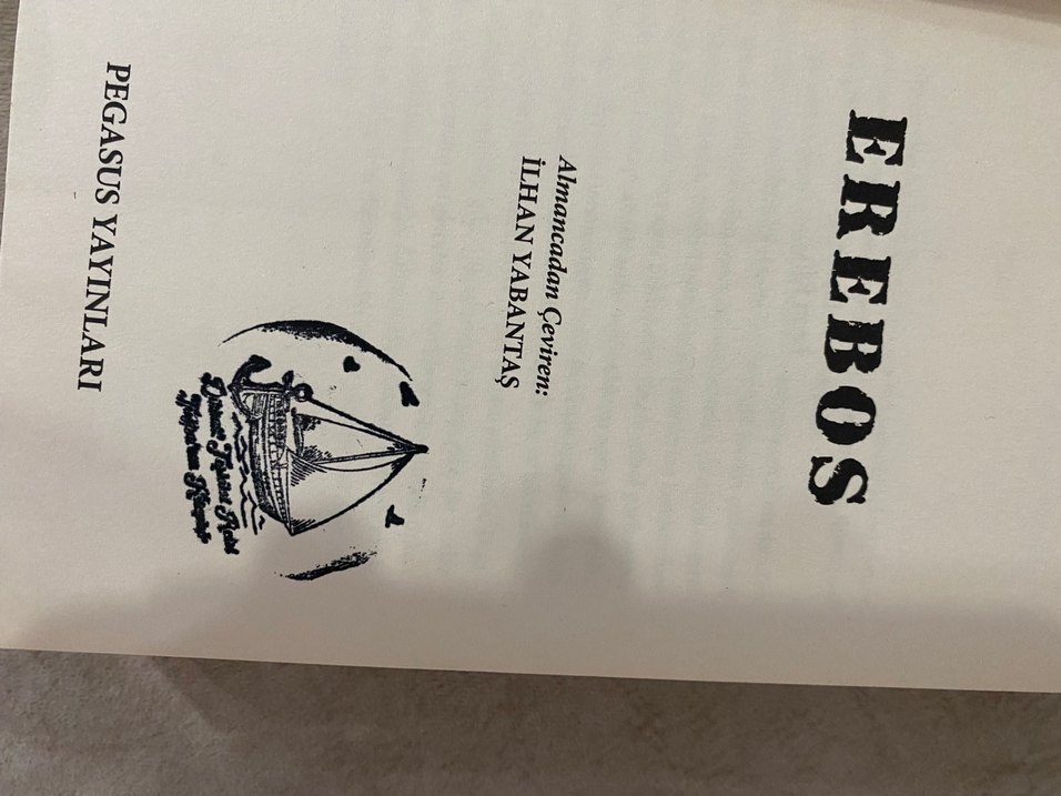 Erebos Ursula Poznanski - Görsel 2