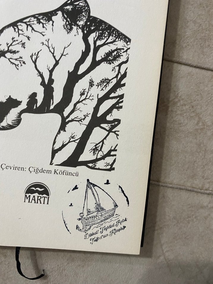 Kaplan Yürekli Çocuk - Linda Coggin - Görsel 2