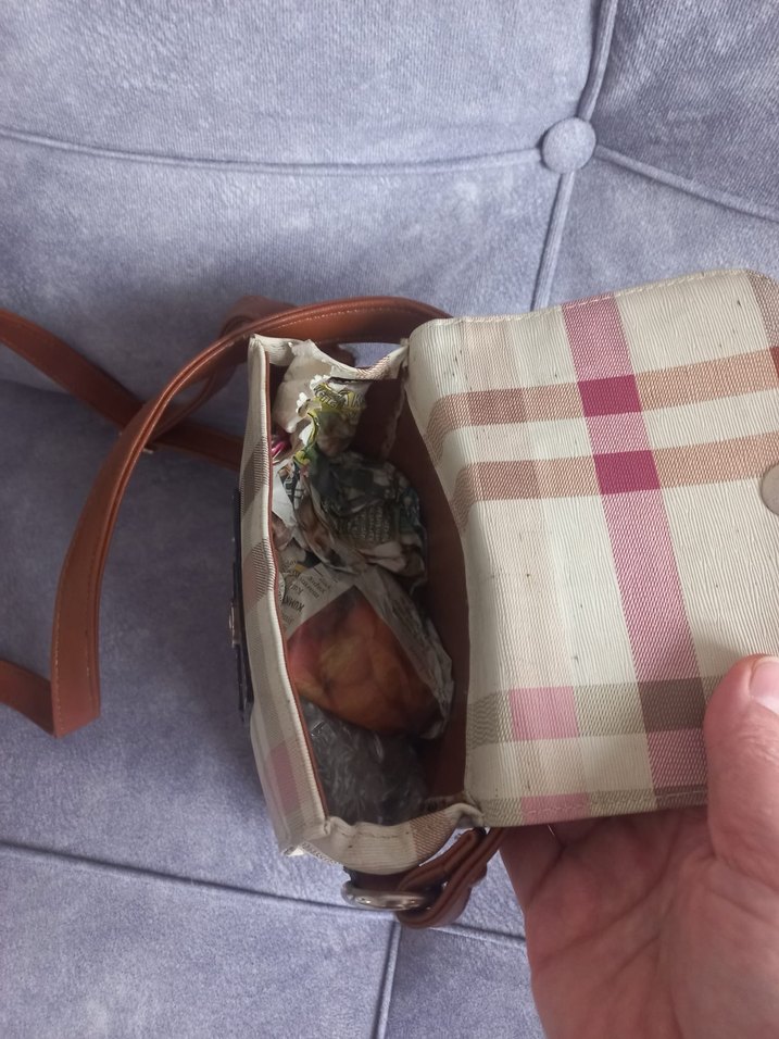 Bej Ekose Desenli Deri Kadın Çanta - Görsel 4