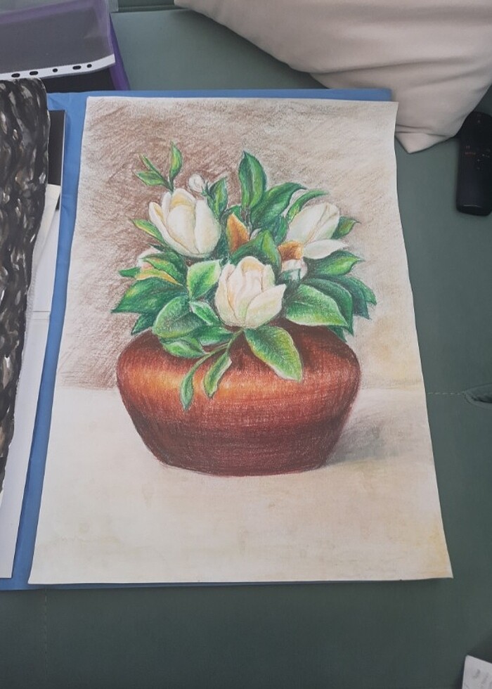 Manolya resmi - Görsel 2