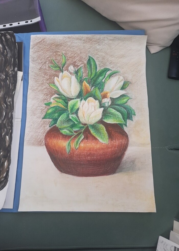 Manolya resmi - Görsel 3