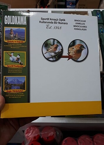  Beden Renk DÜRBÜN (Goldkama)