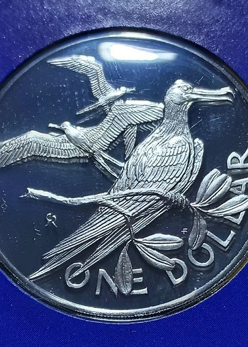  Beden 1975 Britanya Virjin Adaları Madeni Paraları Sertifikalı
