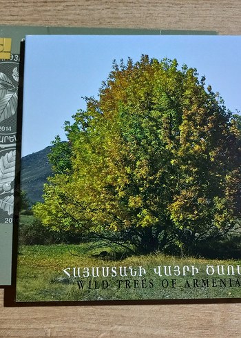 2014 Ermenistan hatıra 200 dram - Görsel 2