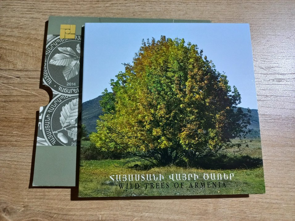 2014 Ermenistan hatıra 200 dram - Görsel 2