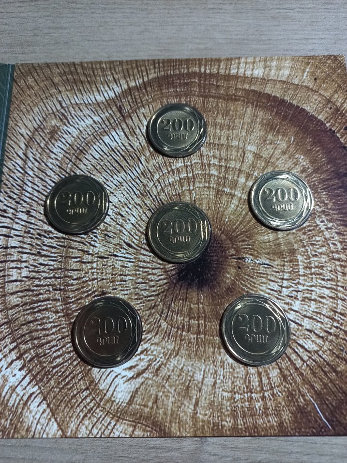 2014 Ermenistan hatıra 200 dram - Görsel 4