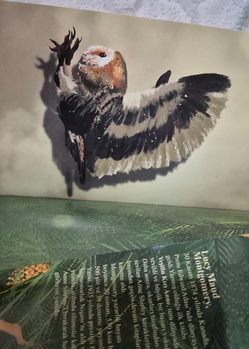 Yeşilin Kızı Anne 2 - Avonlea (Ciltli) - Görsel 3