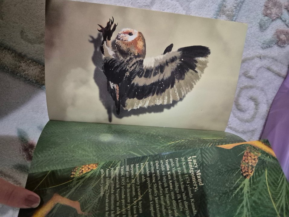 Yeşilin Kızı Anne 2 - Avonlea (Ciltli) - Görsel 3