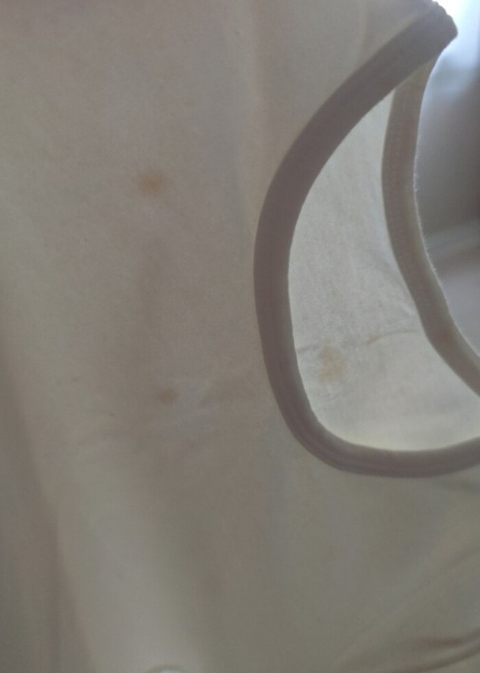 Uzun kollu badi  - Görsel 3