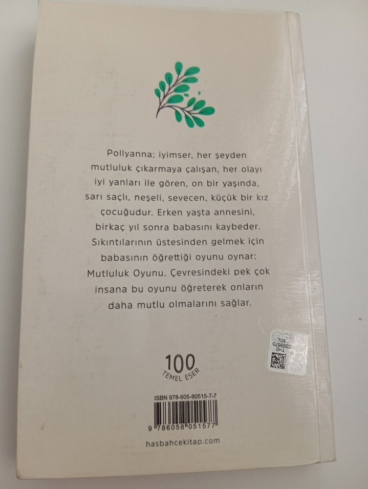 Mutluluk Oyunu - Pollyanna'nın Hikayesi - Görsel 2