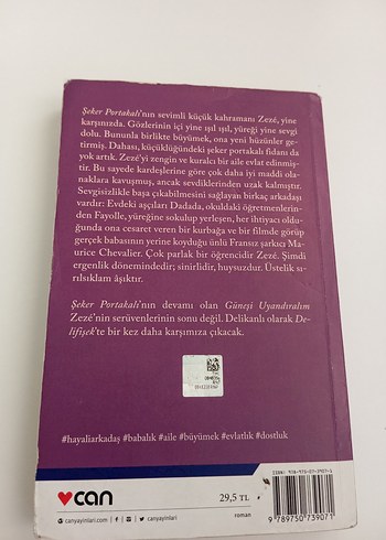 José Mauro de Vasconcelos - Güneşi Uyandıralım - Görsel 2