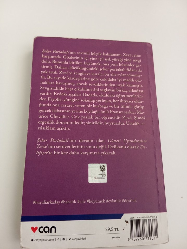 José Mauro de Vasconcelos - Güneşi Uyandıralım - Görsel 2