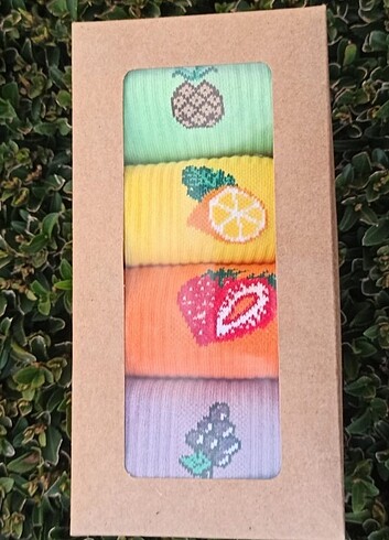 universal Beden çeşitli Renk Meyveli çorap seti