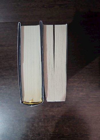 Beden Bazı İnsanlar Böyle Yaşar - Filiz Puluç iki kitap