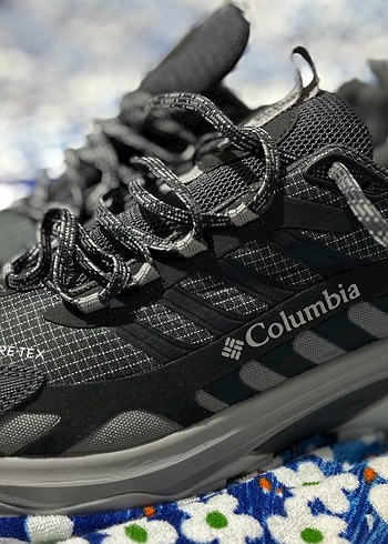 Columbia 43