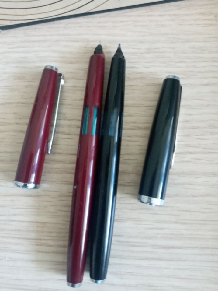 Scrikss 2li 17 no Vintage Dolma Kalem - Görsel 2