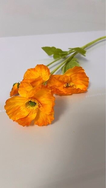 Yapay gelincik - Görsel 4