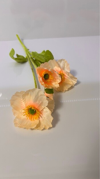 Yapay gelincik - Görsel 6